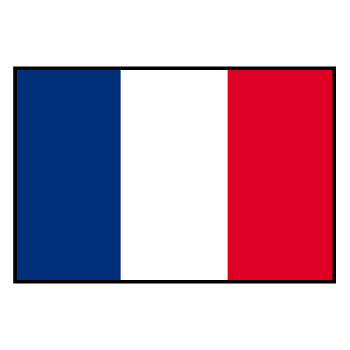 France's Academic Footprint: Maristella Svampa's Legacy